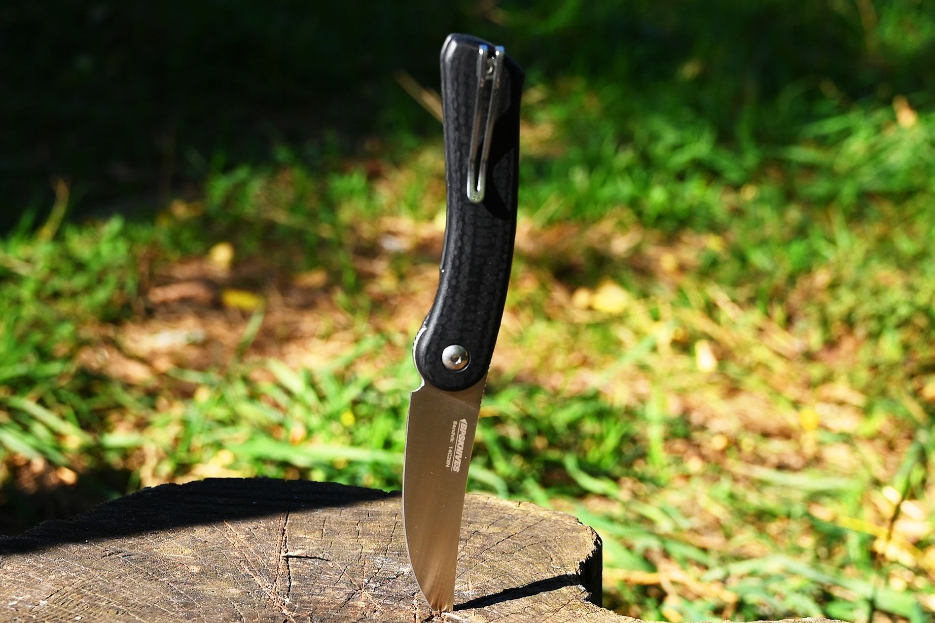 img - 2025-10-03T161952.552