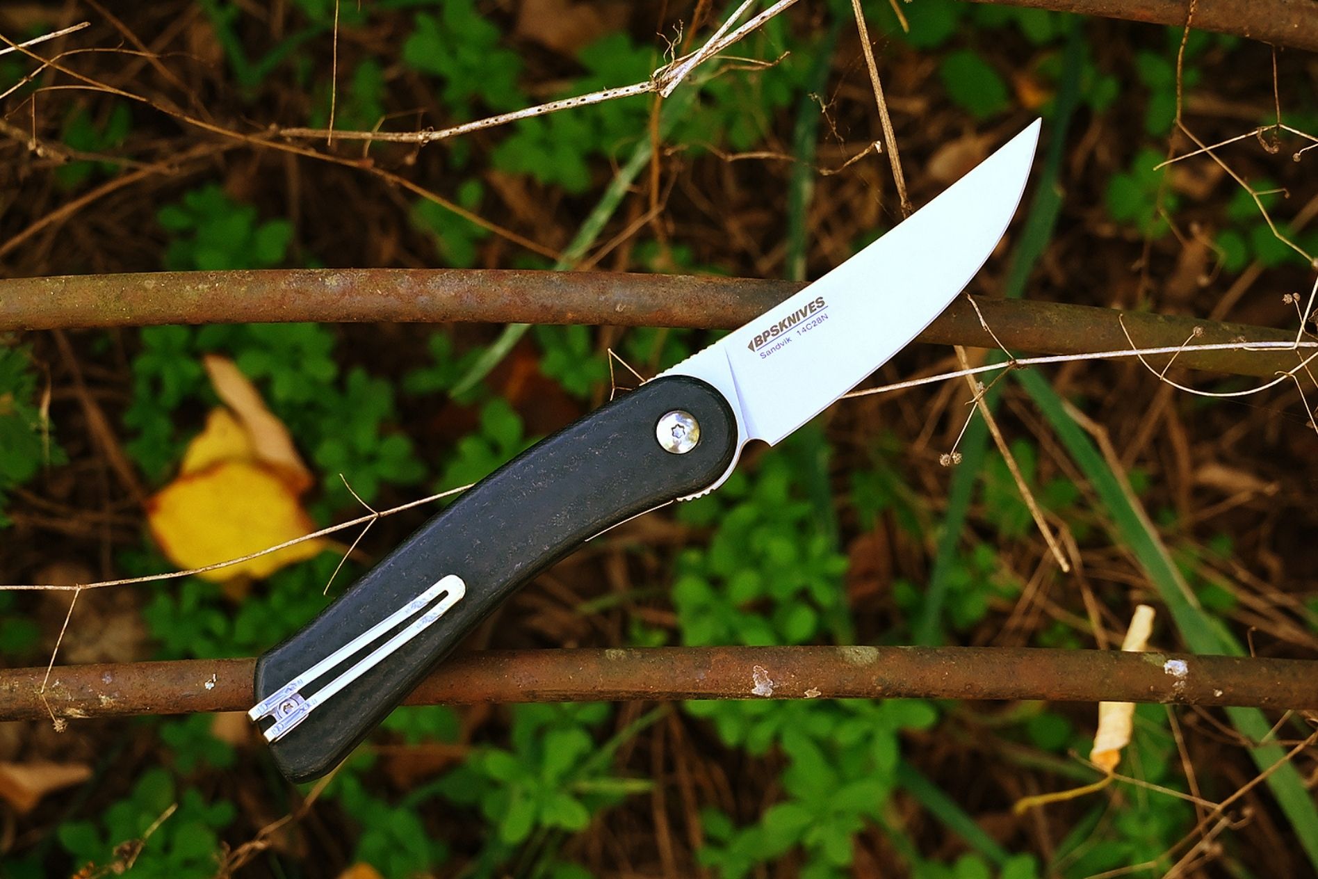 img - 2025-10-03T162450.007